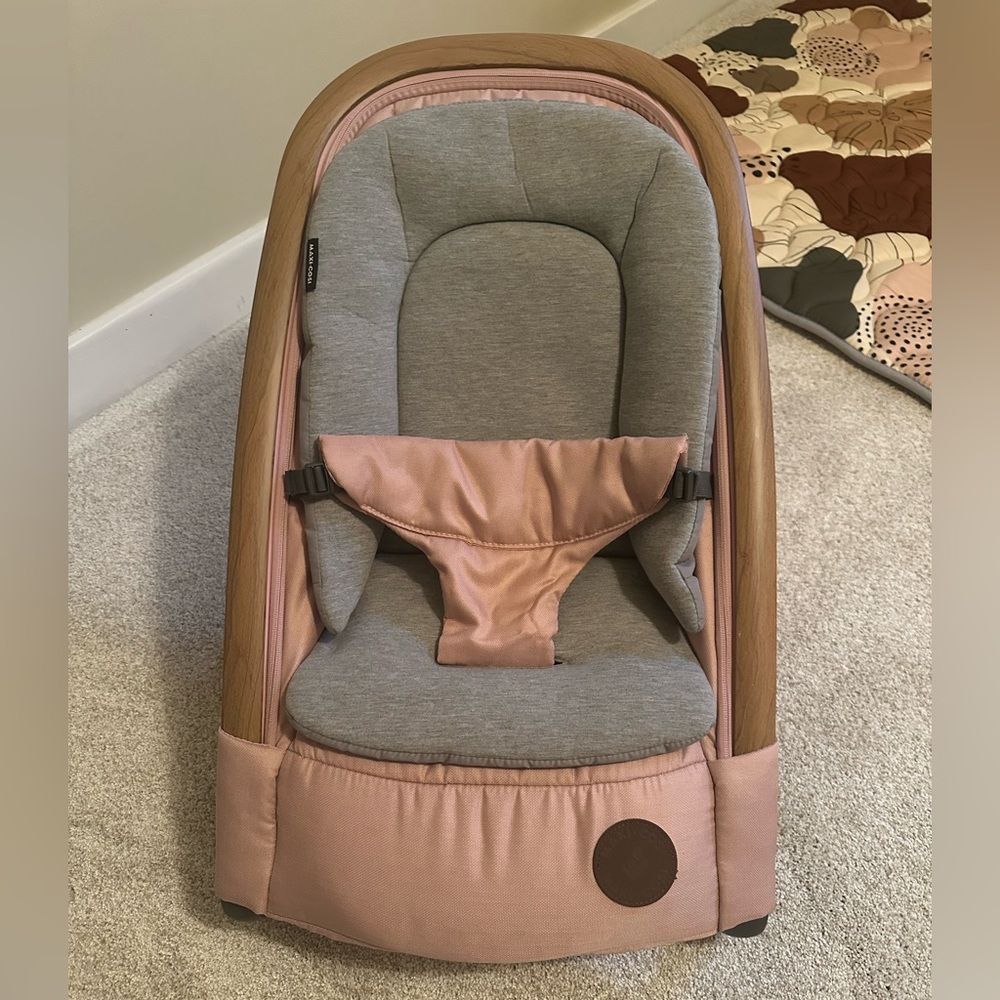 Chic Pink and Gray Baby Bouncer